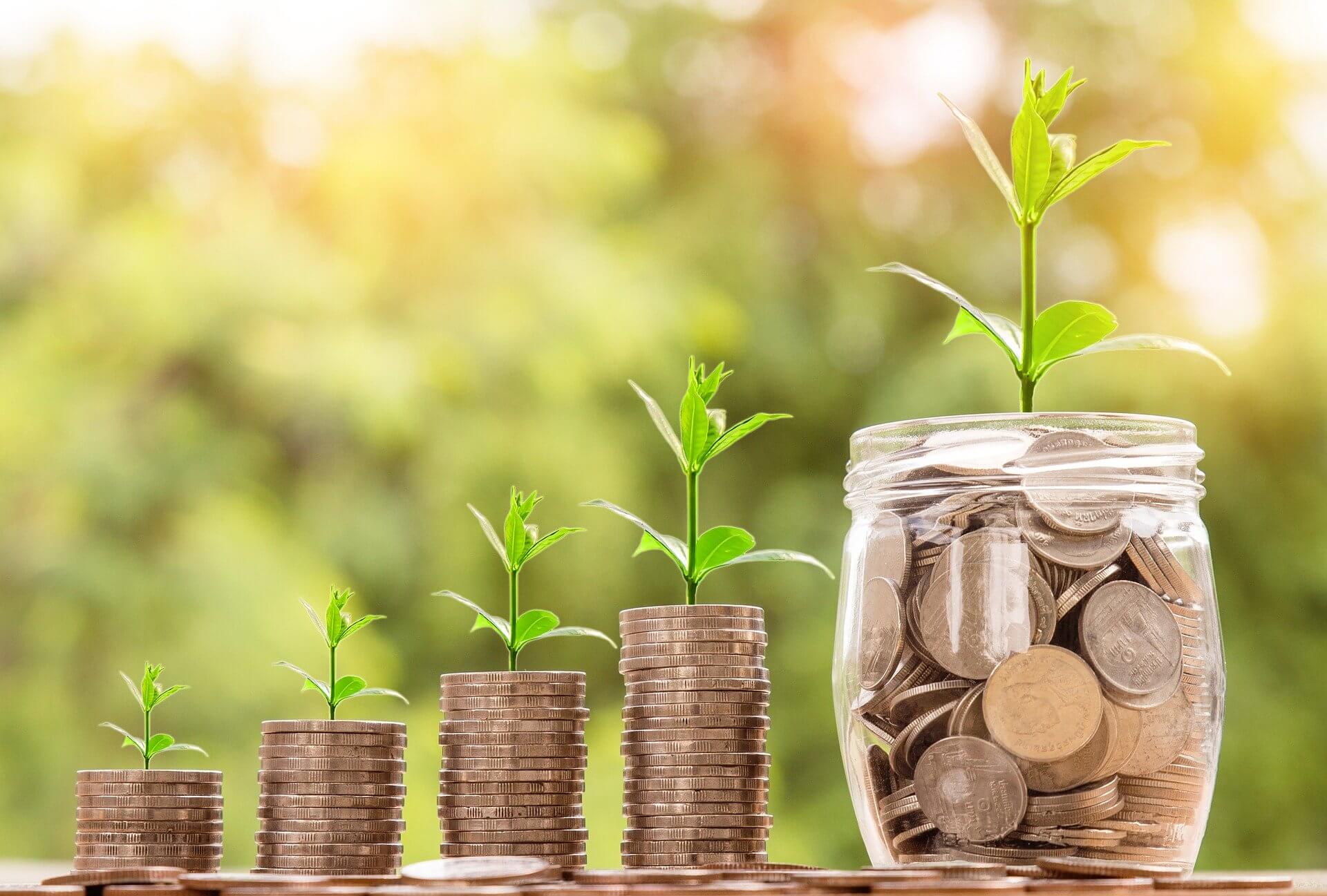 Las MiPYMES en el 2020